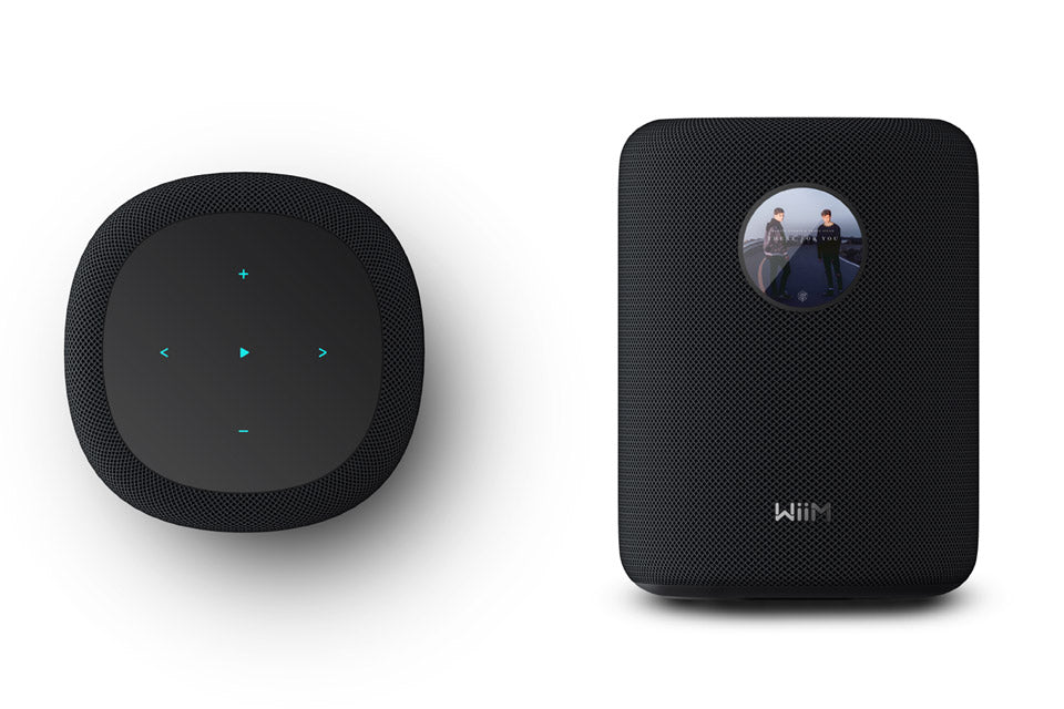 WiiM Sound Sort (demo)