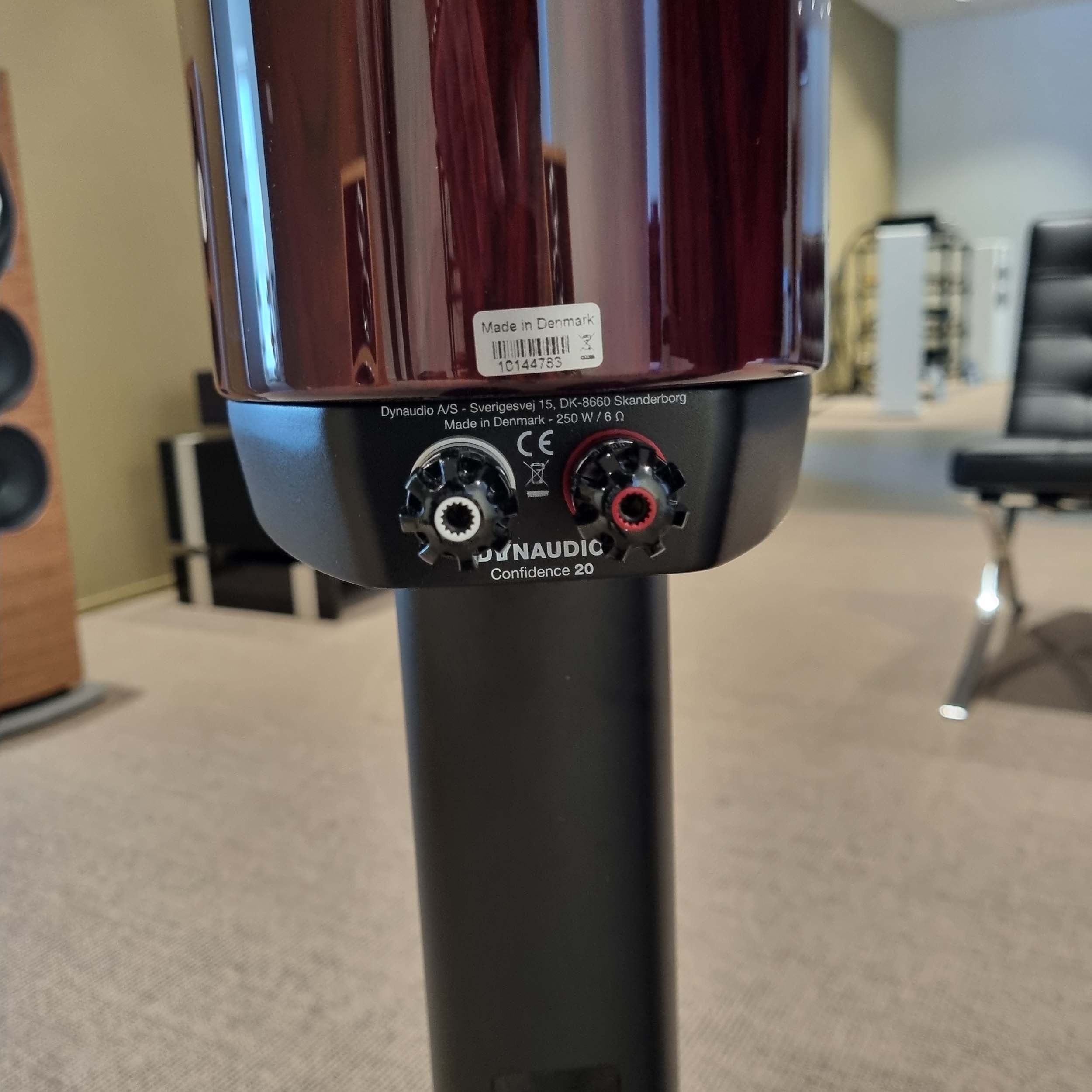 Dynaudio Confidence 20