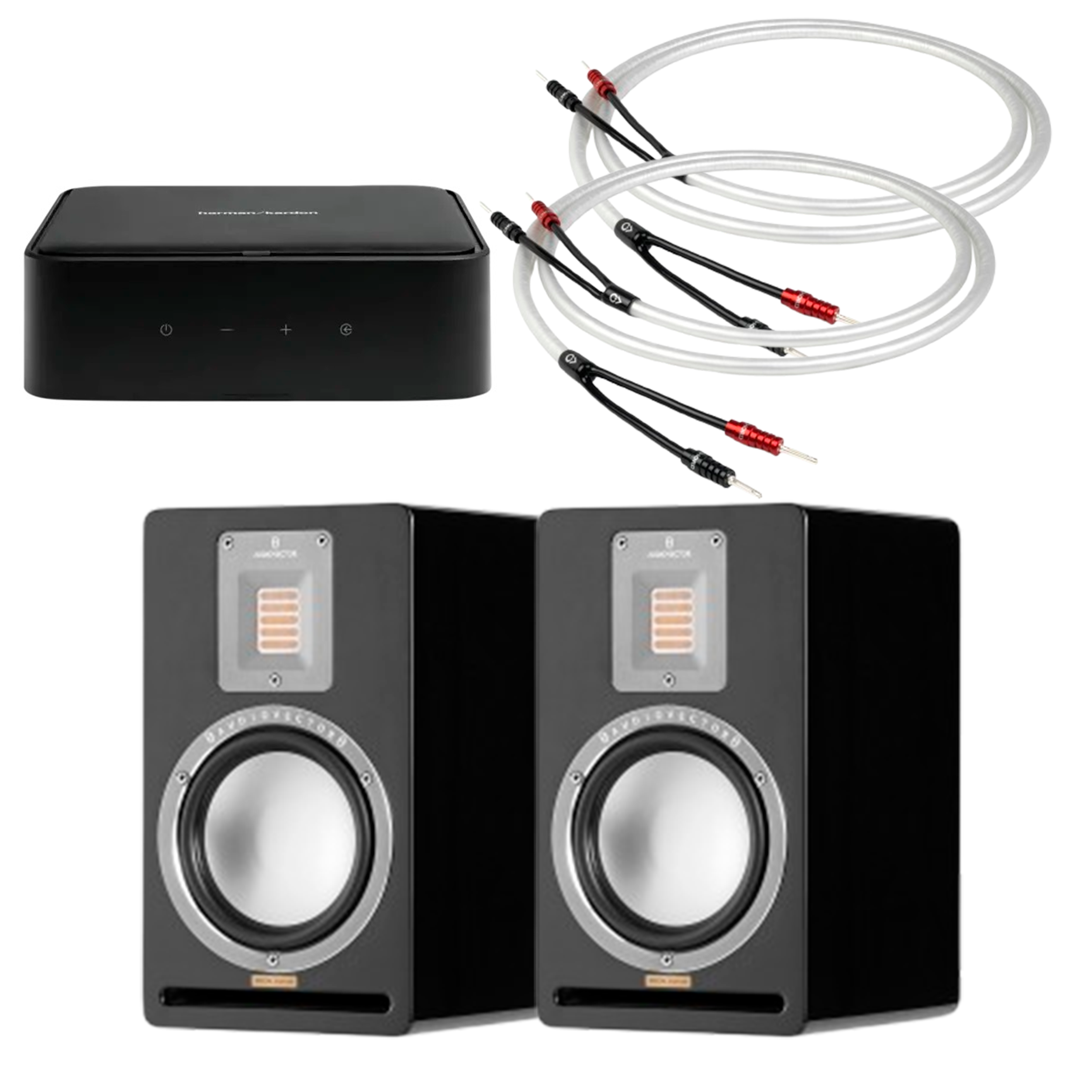 Harman Kardon Citation amp + Audiovector QR 1 SE + 2x3 meter Chord ClearwayX