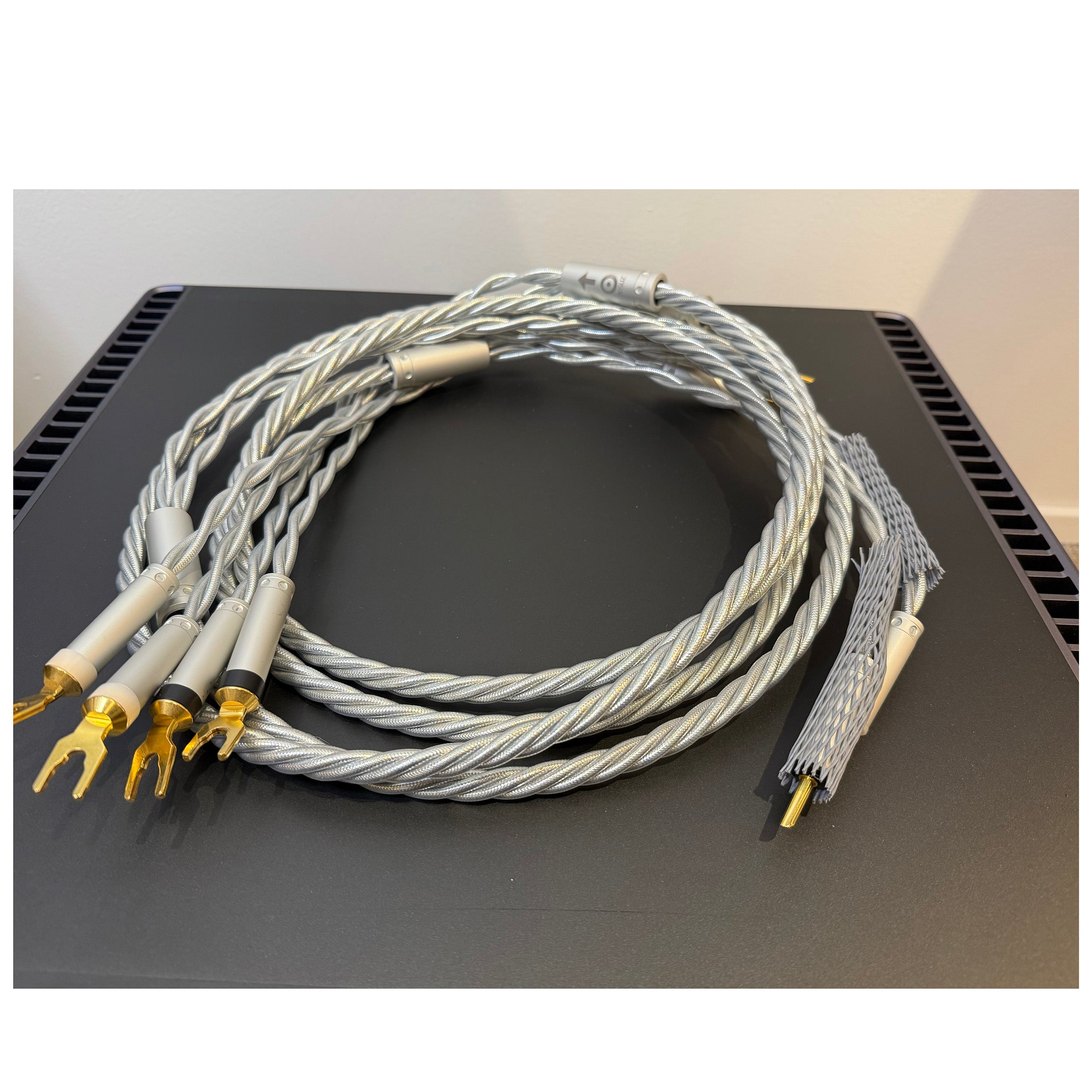 Ansuz Speakz x2 (brugt)